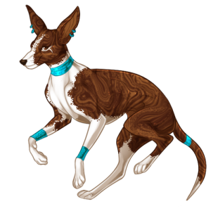 https://faenaria.com/images/shop_pets/Dire Jackal/Basenji/image.png